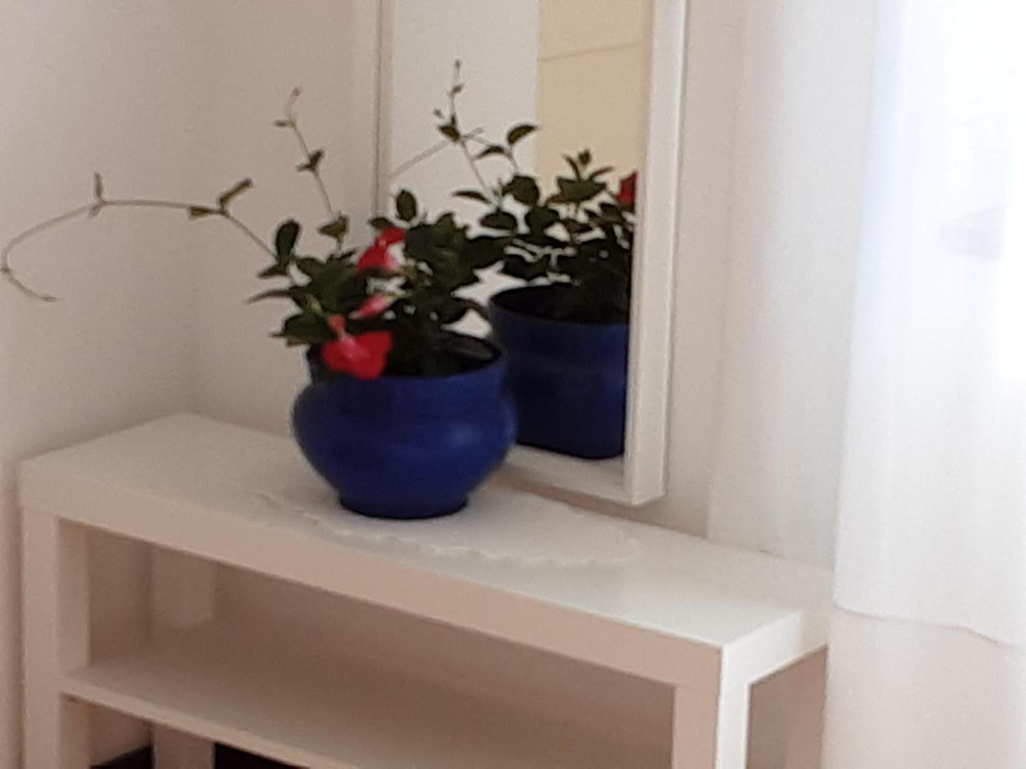 Apartman Legac Стариград Номер фото